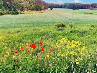 Vakantiehuis Ingarö  21