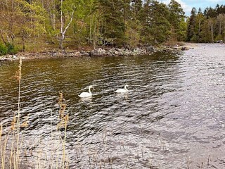 Vakantiehuis Ingarö  15