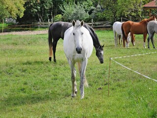 Casa de vacaciones Zudar Grabación al aire libre 3
