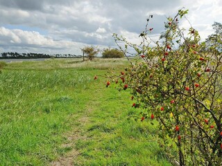 Holiday house Zudar Outdoor Recording 5