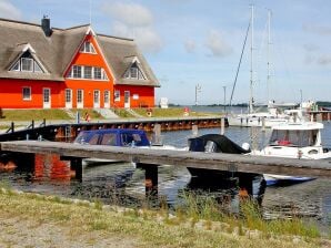 Holiday house Ferienhaus Lotsenhaus am Breetzer Bodden in Vieregge - Vieregge - image1