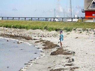 Casa per le vacanze Vieregge Ambiente 27