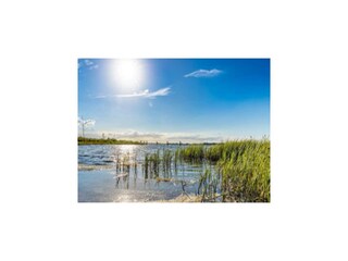 Holiday house Vieregge Environment 31