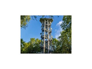 Holiday house Vieregge Environment 23