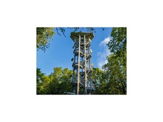 Ferienhaus Vieregge Umgebung 25