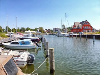 Holiday house Vieregge Environment 34