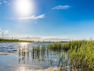 Casa de vacaciones Vieregge Entorno 20