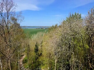 Vakantiehuis Vieregge Omgeving 26