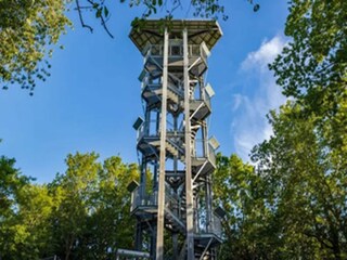 Vakantiehuis Vieregge Omgeving 29