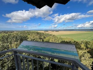 Casa per le vacanze Vieregge Ambiente 29