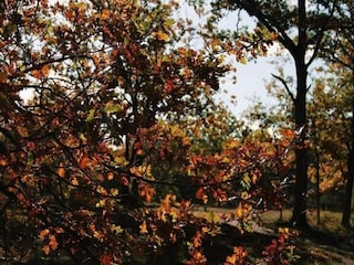 Chalet Bonheiden Außenaufnahme 8