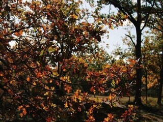 Chalet Bonheiden Grabación al aire libre 10