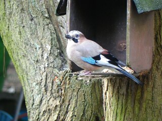 Chalet Bonheiden Außenaufnahme 3
