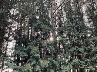 Chalet Bonheiden Entorno 26