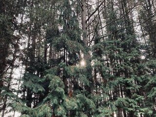 Chalet Bonheiden Omgeving 26