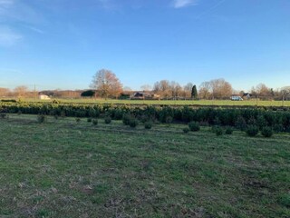 Chalet Bonheiden Ambiente 26