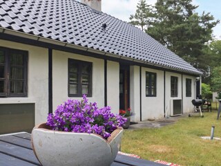 Vakantiehuis Læsø Buitenaudio-opname 4