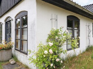 Vakantiehuis Læsø Buitenaudio-opname 6