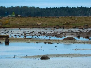 Holiday house Læsø  12