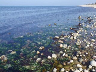 Vakantiehuis Udsholt Strand  23