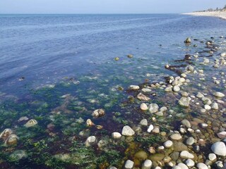 Vakantiehuis Udsholt Strand  39