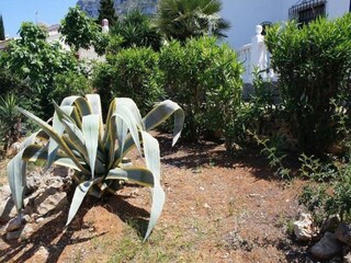 Holiday house Denia Outdoor Recording 4