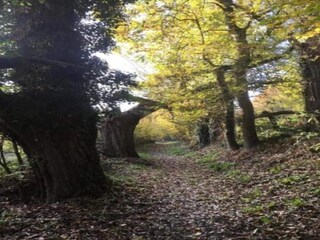 Casa de vacaciones Plogoff Entorno 20