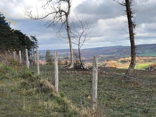 Casa de vacaciones Plogoff Entorno 57