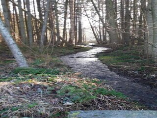 Casa de vacaciones Plogoff Entorno 64