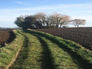 Holiday house Plogoff Environment 40