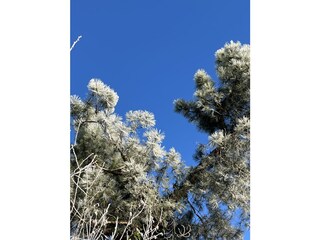 Auch bei Kälte, ein Erlebnis