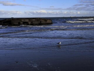 Maison de vacances Longues-sur-Mer Environnement 30
