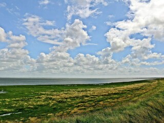 Vakantiehuis Kongsmark Buitenaudio-opname 8
