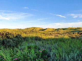 Casa de vacaciones Kongsmark Grabación al aire libre 7