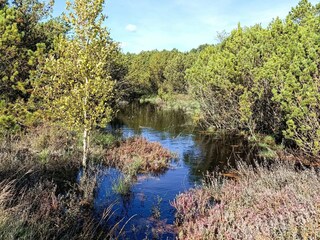 Casa de vacaciones Kongsmark  46