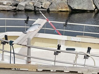 Vakantiehuis Sørbøvåg  35