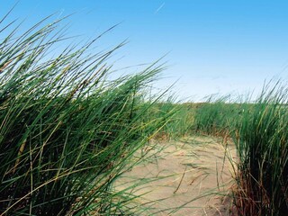 Appartement Norddeich Omgeving 19