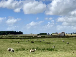 Villa De Koog Documento 44