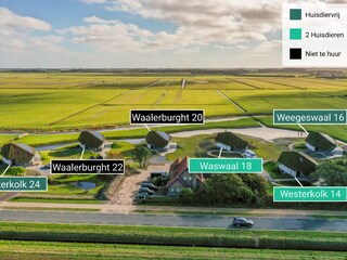 Villa De Koog Registrazione all'aperto 5