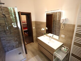 Casa per le vacanze Subbiano Caratteristiche 28