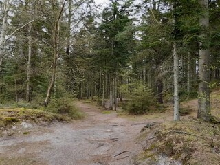 Casa de vacaciones Henne Strand  29