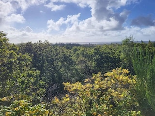 Ferienhaus Henne Strand  72