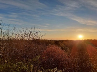 Ferienhaus Henne Strand  41