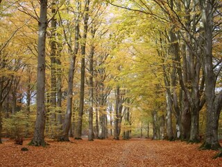Casa de vacaciones Henne Strand  3