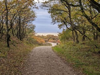 Ferienhaus Henne Strand  5