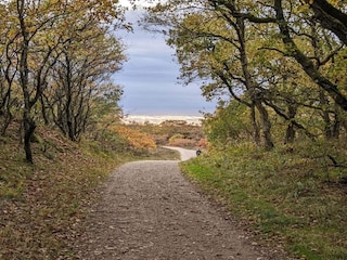 Vakantiehuis Henne Strand  5