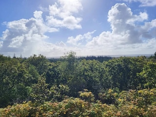 Ferienhaus Henne Strand  54