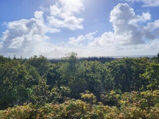 Vakantiehuis Henne Strand  54