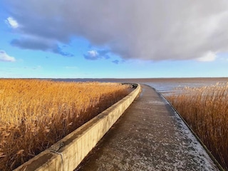 Ferienhaus Henne Strand  9