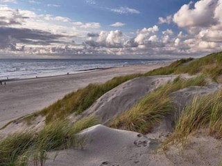 Ferienhaus Henne Strand  36